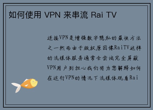 如何使用 VPN 来串流 Rai TV 